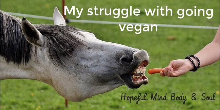 My struggle with going vegan